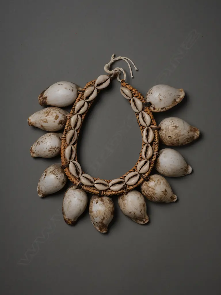 Papua New Guinean cowrie shell/fibre necklace, Image 1++